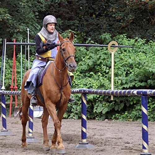 jousting experience warwick castle jousting experience warwick castle